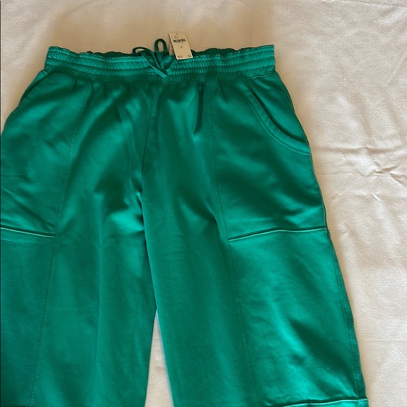 Anthropologie Green Track Joggers with Elastic Waistband - Picture 3 of 10